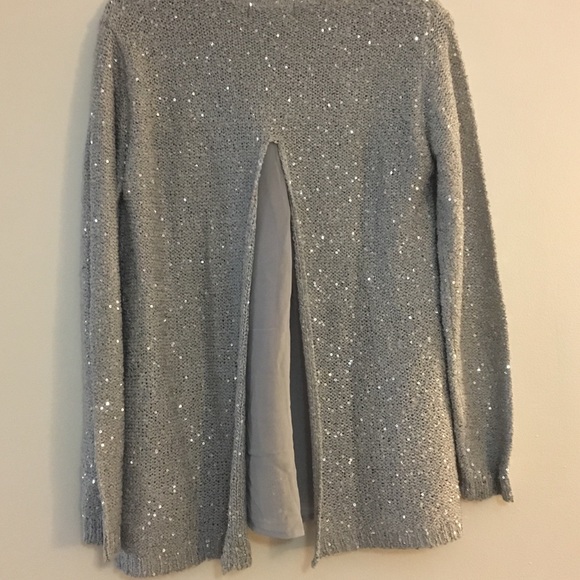 Silver Sequined Sweater - Picture 3 of 4